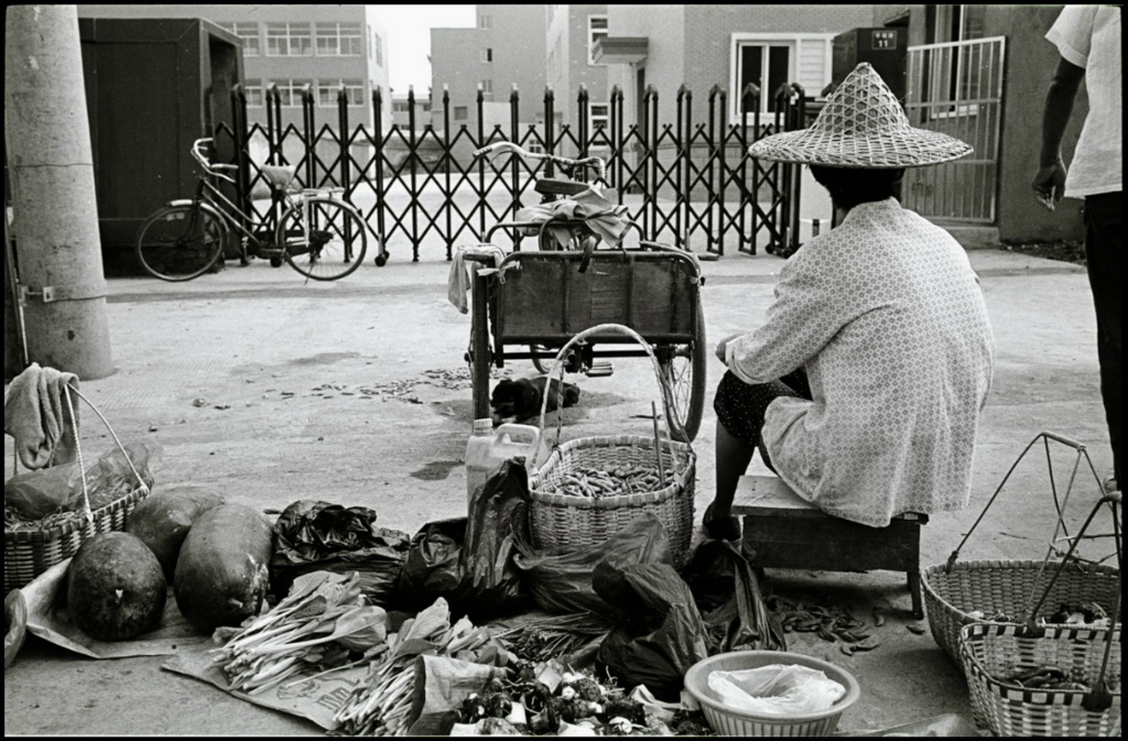 ©copyright Marco Giardini